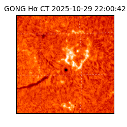 gong - 2025-10-29T22:00:42