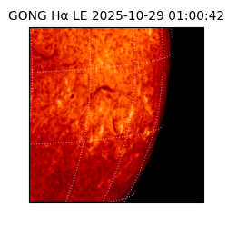 gong - 2025-10-29T01:00:42