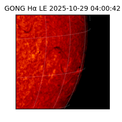 gong - 2025-10-29T04:00:42