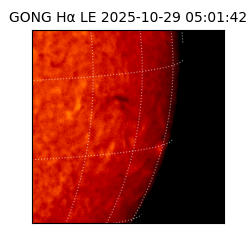 gong - 2025-10-29T05:01:42