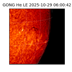 gong - 2025-10-29T06:00:42