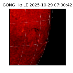 gong - 2025-10-29T07:00:42