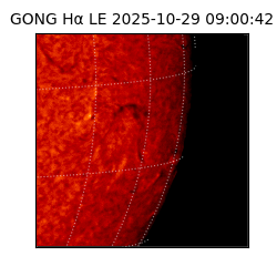 gong - 2025-10-29T09:00:42