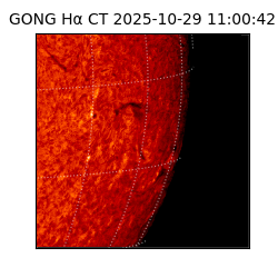 gong - 2025-10-29T11:00:42