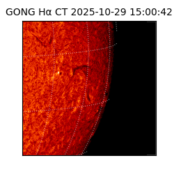 gong - 2025-10-29T15:00:42