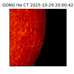 gong - 2025-10-29T20:00:42
