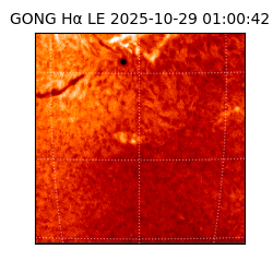gong - 2025-10-29T01:00:42
