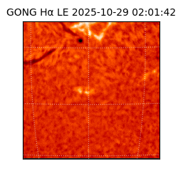 gong - 2025-10-29T02:01:42