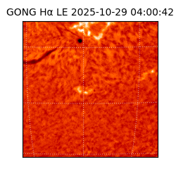 gong - 2025-10-29T04:00:42