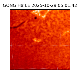 gong - 2025-10-29T05:01:42