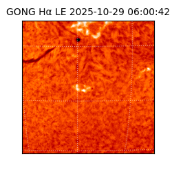 gong - 2025-10-29T06:00:42