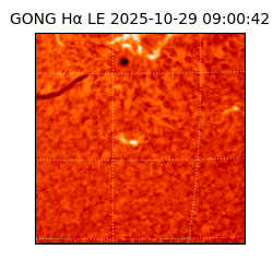 gong - 2025-10-29T09:00:42