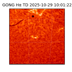gong - 2025-10-29T10:01:22