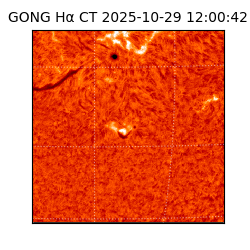 gong - 2025-10-29T12:00:42