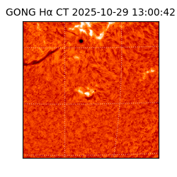 gong - 2025-10-29T13:00:42