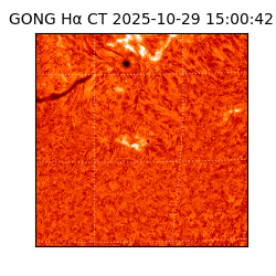 gong - 2025-10-29T15:00:42