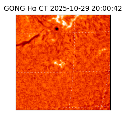 gong - 2025-10-29T20:00:42