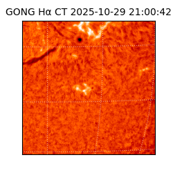 gong - 2025-10-29T21:00:42