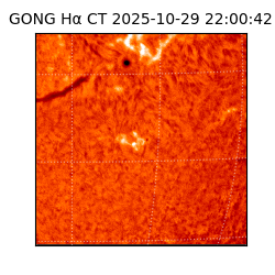 gong - 2025-10-29T22:00:42