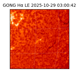 gong - 2025-10-29T03:00:42