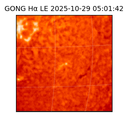 gong - 2025-10-29T05:01:42