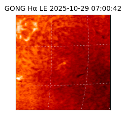 gong - 2025-10-29T07:00:42