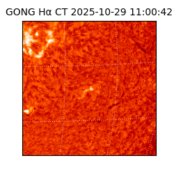 gong - 2025-10-29T11:00:42