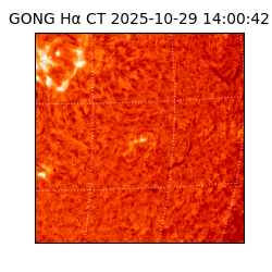 gong - 2025-10-29T14:00:42