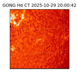 gong - 2025-10-29T20:00:42