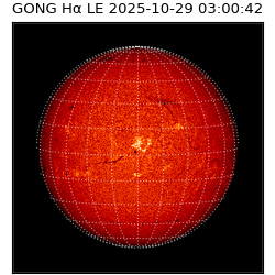 gong - 2025-10-29T03:00:42