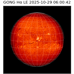 gong - 2025-10-29T06:00:42