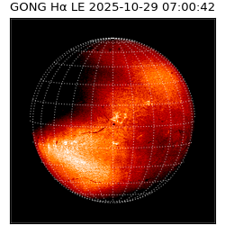 gong - 2025-10-29T07:00:42