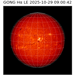 gong - 2025-10-29T09:00:42