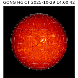gong - 2025-10-29T14:00:42