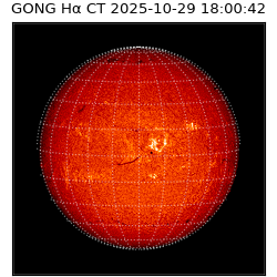 gong - 2025-10-29T18:00:42