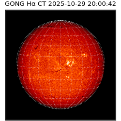 gong - 2025-10-29T20:00:42