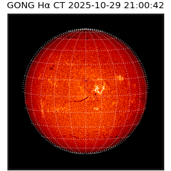 gong - 2025-10-29T21:00:42