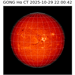 gong - 2025-10-29T22:00:42
