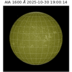 saia - 2025-10-30T19:00:14.130000