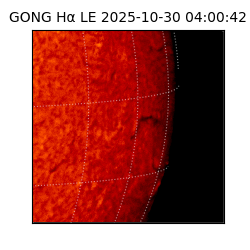 gong - 2025-10-30T04:00:42
