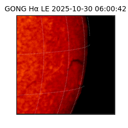 gong - 2025-10-30T06:00:42