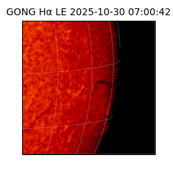 gong - 2025-10-30T07:00:42