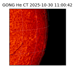 gong - 2025-10-30T11:00:42