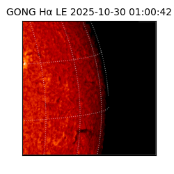 gong - 2025-10-30T01:00:42