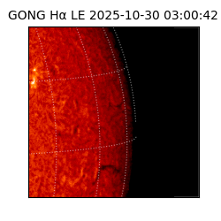 gong - 2025-10-30T03:00:42