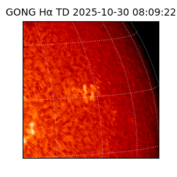 gong - 2025-10-30T08:09:22