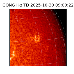gong - 2025-10-30T09:00:22