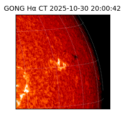 gong - 2025-10-30T20:00:42