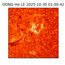 gong - 2025-10-30T01:00:42