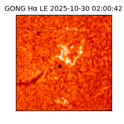 gong - 2025-10-30T02:00:42